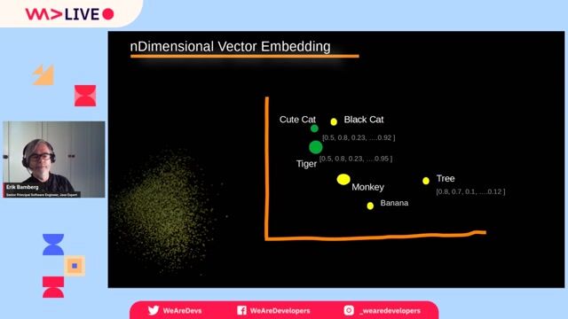 Visualizing relationships in a vector space