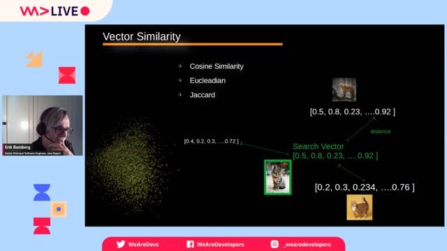 Mathematical search techniques for locating similar dataset embeddings thumbnail