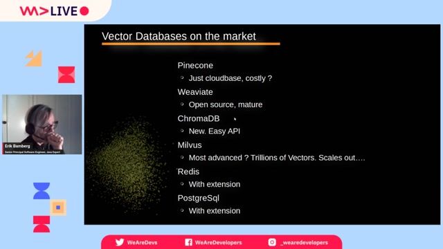 An overview of the vector database market