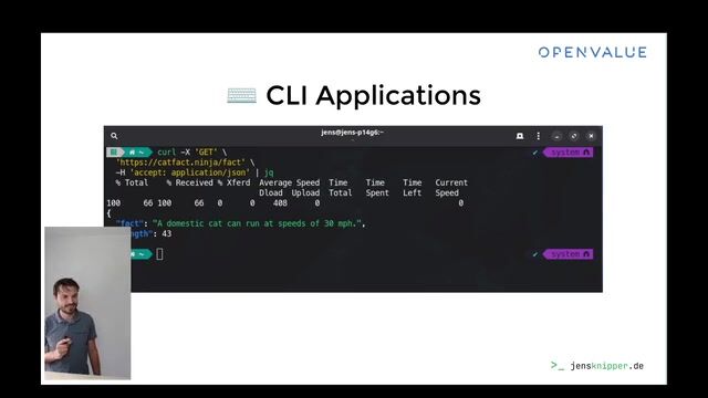 Developing terminal user interfaces natively within Java scripts thumbnail