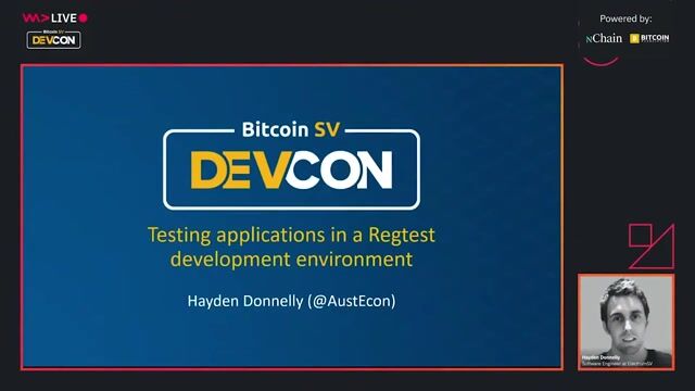 Testing applications in a regtest development environment with the ElectrumSV SDK