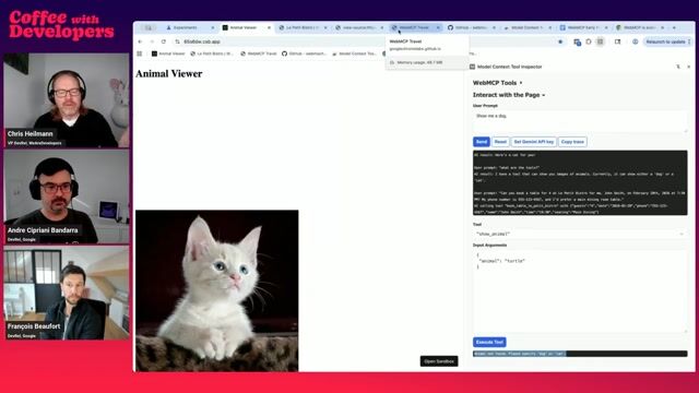 Using the developer extension to debug and test tools