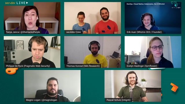 Exploring the need for regulation in software development