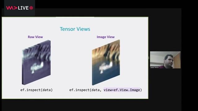 Visualizing a CNN's computational graph with FMRI scan