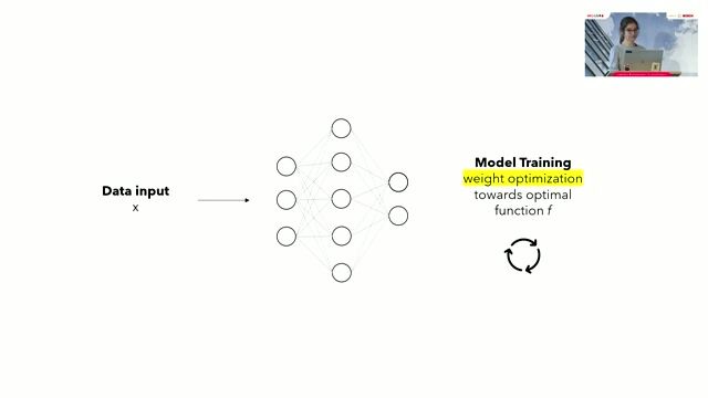 Understanding deep neural networks and their challenges