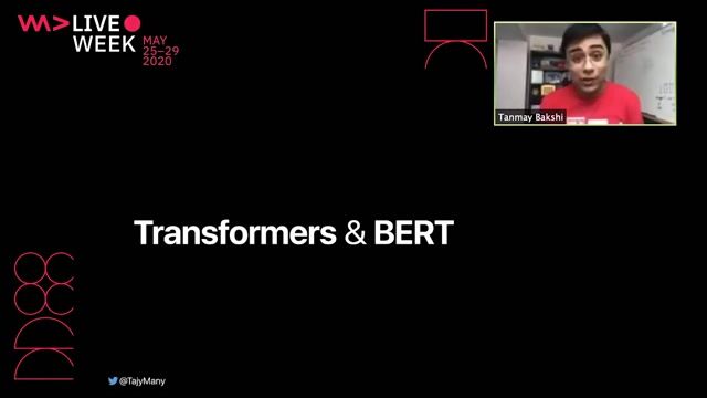 Introducing the BERT and transformer architecture