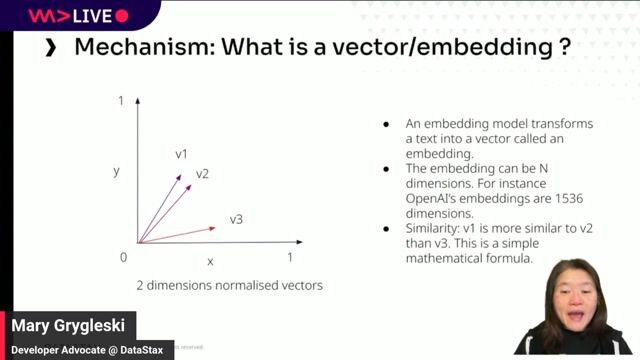 Understanding numerical representations of vector embeddings thumbnail