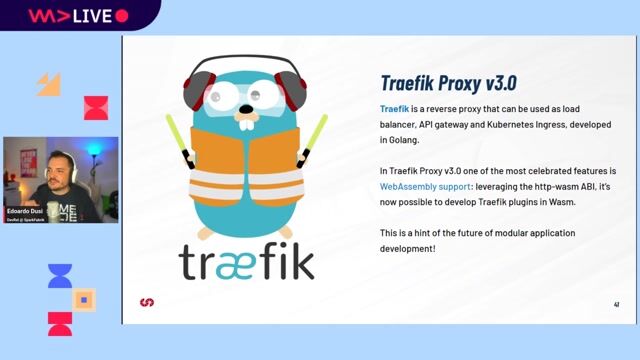Extending applications with polyglot WebAssembly plugins
