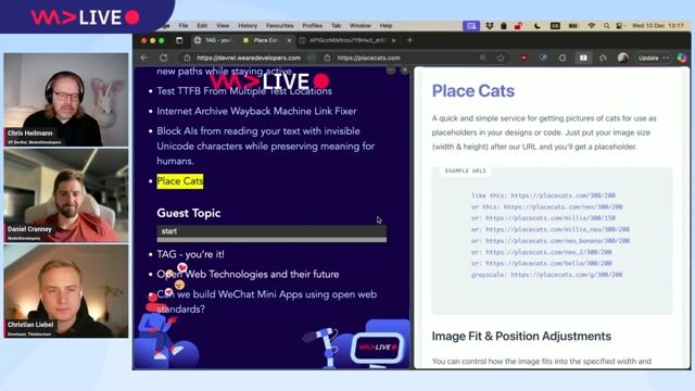 Bringing a real-world developer voice to the W3C TAG