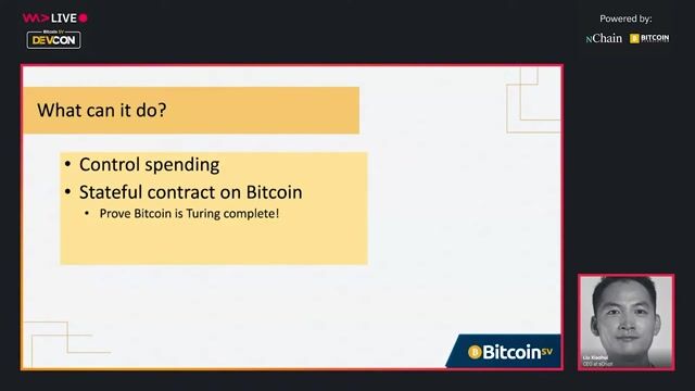 Controlling future spending with transaction introspection