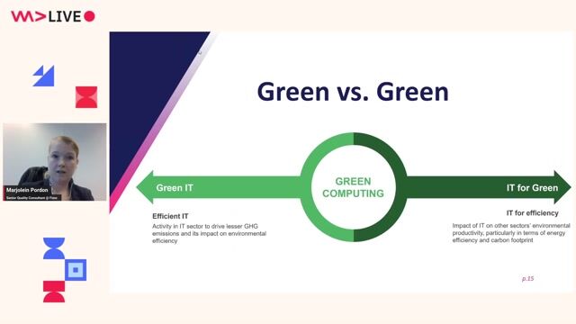 Team roles and responsibilities in sustainable software