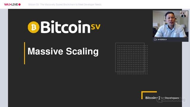 Achieving massive scale and ultra-low transaction fees